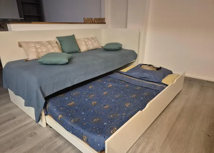 Daire Un Petit Pied A Hyères